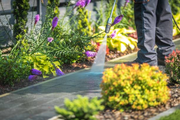 Best Patio and Deck Pressure Washing  in Dolgeville, NY