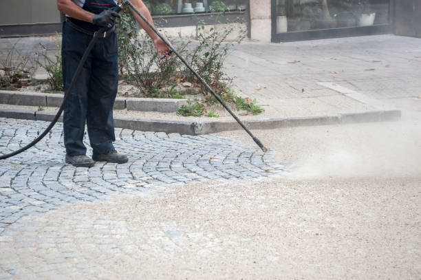 Best Winterizing Services  in Dolgeville, NY