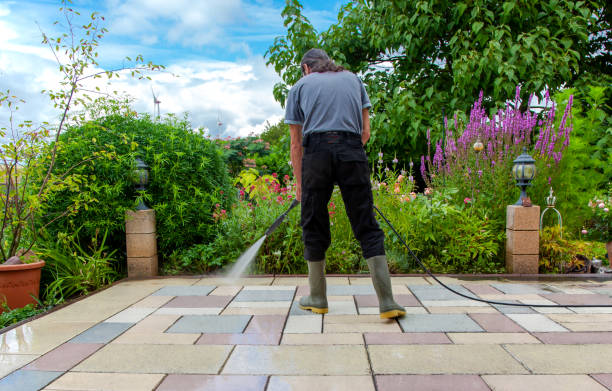 Best Driveway Pressure Washing  in Dolgeville, NY